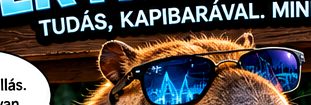 Vicces elektronikai grafika 40