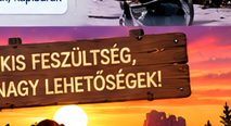 Vicces macskás vagy kapibarás elektronikai dekoráció