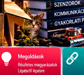 Rejtett macskás elektronikai kép #22