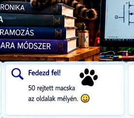 Rejtett macskás elektronikai kép #27