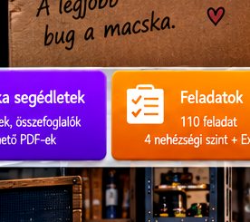 Rejtett macskás elektronikai kép #32