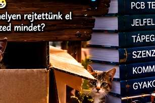 Rejtett macskás elektronikai kép #39