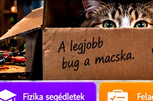 Rejtett macskás elektronikai kép #49