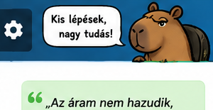 Vicces elektronikai tanulófigura